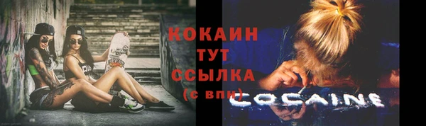 альфа пвп Бородино