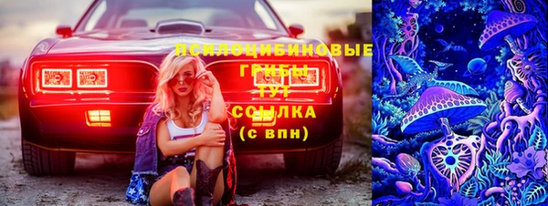 альфа пвп Бородино