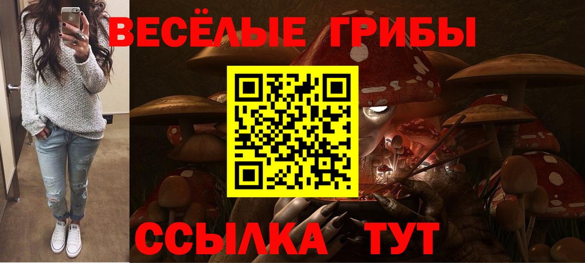 Борзя  Галлюциногенные грибы Psilocybe  Вход с VPN 