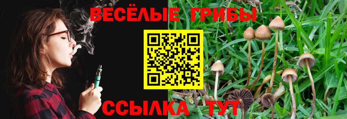 Галлюциногенные грибы Cubensis Борзя