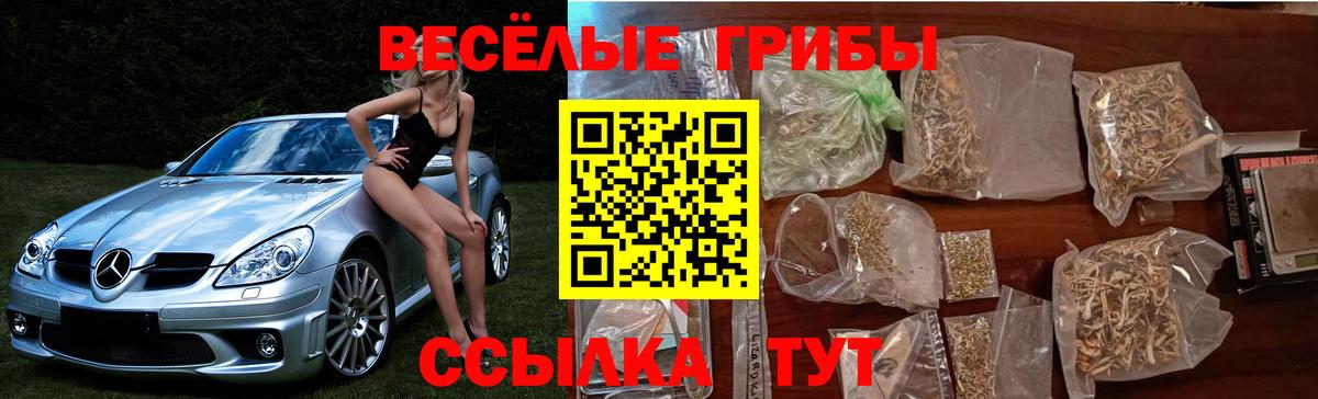 Галлюциногенные грибы Cubensis  Псилоцибиновые грибы мицелий  Борзя 