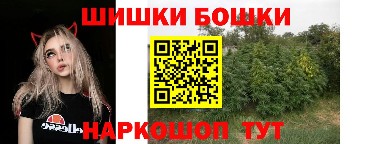 Бошки Шишки ГИДРОПОН Борзя
